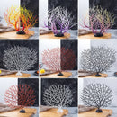 Axya Hotel Restaurant Salmon Sashimi Sushi Seafood Tray with Coral Tree Flower Decor