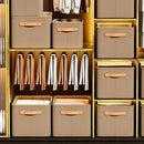 Axyaa Foldable Storage Bags - Closet and Drawer Organizer for Clothes, Toys, and More