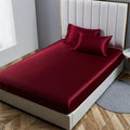 Axyaa Satin Fitted Bed Sheet Set Queen/King Size Luxurious Soft Silky Elastic Bedsheet