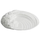 Axyaa Ceramic & Western Tableware Set - Elegant Flat Cold Dish Special Shapes