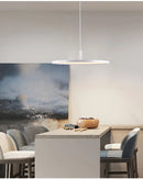 Axyaa Nordic Aluminum Pendant Light for Home and Hospitality Settings