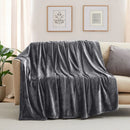 Axyaa Plush Fleece Blanket - Luxurious, Cozy, and Lightweight All-Season Throw
