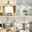 Axyaa Nordic Iron Chandelier Ceiling Light for Kitchen Living Room