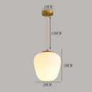 Axyaa Modern Pendant Light Chandelier for Indoor Living Room Lighting