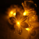 Axyaa Camellia Flower Lantern String Lights for Bedroom, Festival, and Courtyard Decor