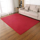 Axyaa Coral Fleece Soft Area Rug for Living Room, Bedroom, or Yoga Mat
