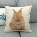 Easter Bunny Eggs Printed Pillow Covers 45x45cm - Axyaa Easter Decorations