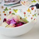 Axyaa Bone Ceramic Food Bowl Set - Western, Salad, Dessert, and Vegetable Bowls
