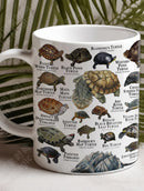 Axyaa Turtle Atlas Mug - Vintage Botanical Illustration, Microwave Safe Coffee Cup