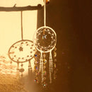 Axyaa Crystal Suncatcher Wall Hanging Rainbow Maker for Home and Garden