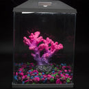 Axyaa Coral Reefs Resin Decoration for Saltwater Fish Tank Landscaping