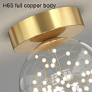 Axyaa Nordic LED Ceiling Lamp for Home Living Room Bedroom Dining Table and Hallway