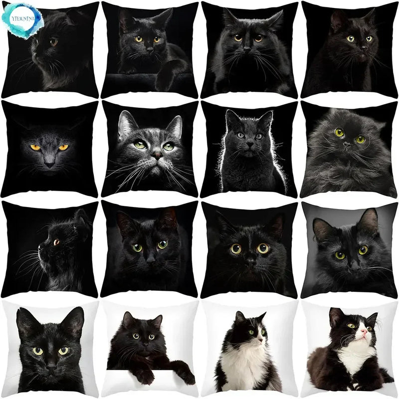 Axyaa Black Cat Pillowcases: Cute Kitty Lover Cushion Cover & Home Decor