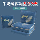 Axyaa Winter Pillow Quilt: Dual-Purpose Thickened Foldable Office Nap Blanket