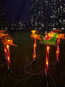 Axyaa Solar Christmas Lights Set for Festive Lawn Decor