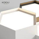 Axyaa Adjustable LED Ceiling Lamp Warm/Cool White Lighting Living Room Bedroom Home Fixture