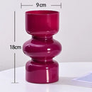 Axyaa Nordic Retro Glass Vase for Hydroponic Plants and DIY Flower Arrangements