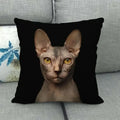 Fat Orange Cat Print Cushion Cover 45x45cm by Axyaa: Animal Pattern Home Decor Pillowcase
