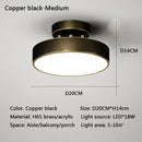 Axyaa Modern LED Copper Ceiling Light for Bedroom Living Room, Nordic Style Gold-Black Fixture