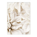 Peony Rose Dandelion Botanical Flower Canvas Art Print - Axyaa Nordic Wall Poster Art