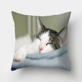 Cute Cat Print Cushion Cover for Sofa Decor by Axyaa