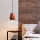 Axyaa Nordic Creative Pendant Light for Dining Room and Bedroom