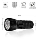 Axya 395nm UV Flashlight 21 LED Ultraviolet Mini Torch for Pet Urine Stain Scorpion Detection