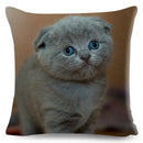 Axyaa Cat Pet Animal Cushion Cover - Cute British Shorthair Russian Blue Pillowcase