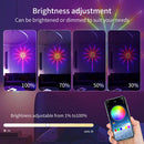 Axyaa LED Strip Lights RGBIC Music Sync Dream Color App Remote Lighting