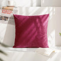 Velvet Cushion Cover for Sofa Living Room, 30x50cm Decorative Pillows by Axyaa