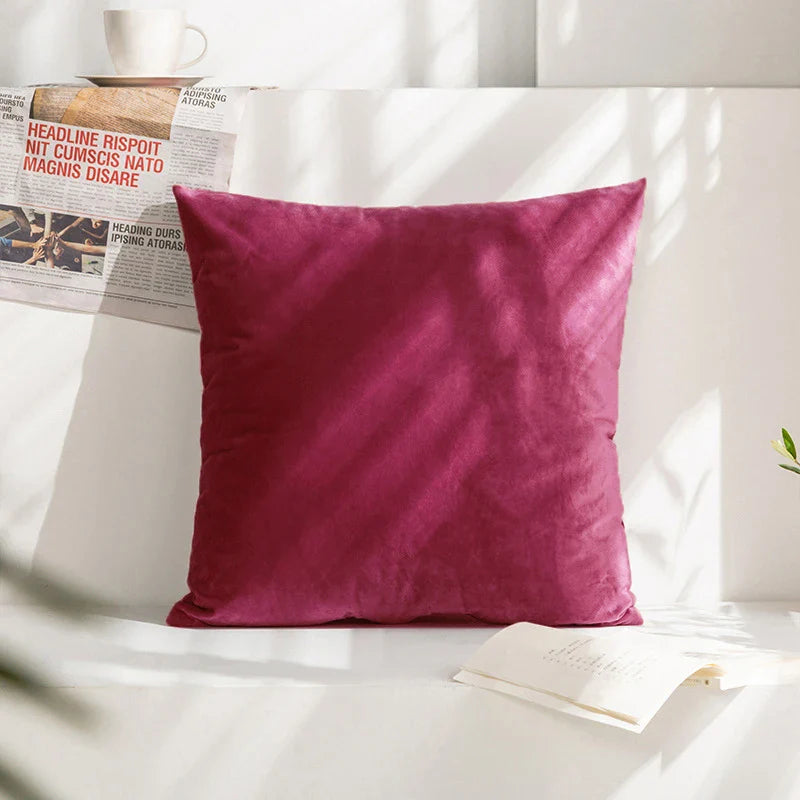 Velvet Cushion Cover for Sofa Living Room, 30x50cm Decorative Pillows by Axyaa