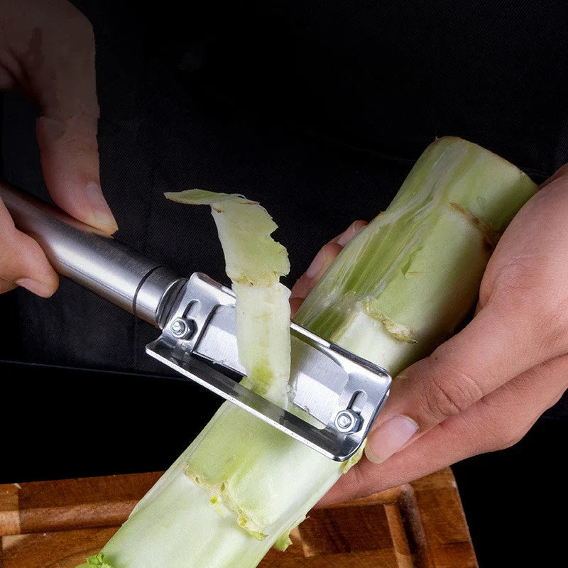 Axyaa Stainless Steel Vegetable Peeler with Adjustable Blade