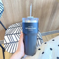Axyaa Stainless Steel Thermos Bottle with Straw, 700ML Insulation Water Cup