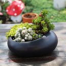 Axya White Oval Ceramic Flowerpot for Balcony Succulents and Outdoor Gardens
