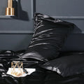 Axyaa Solid Color Silk Pillowcase Set - Queen Size 48x74cm