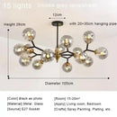 Axyaa Glass Magic Bean Chandelier with Bright LED Light