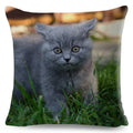 Axyaa Fold Ear Cat Pillow Covers - Set of 2 Cute Pet Pillowcases