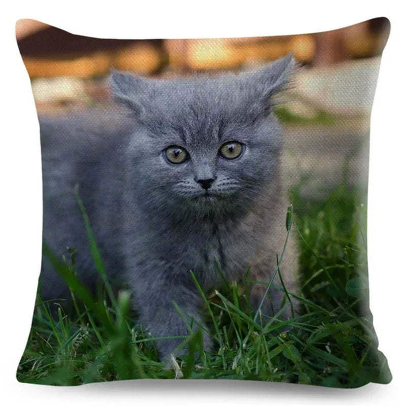 Axyaa Fold Ear Cat Pillow Covers - Set of 2 Cute Pet Pillowcases