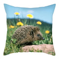 Hedgehog Print Pillow Cover for Home Sofa Decor - Axyaa