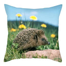 Hedgehog Print Pillow Cover for Home Sofa Decor - Axyaa