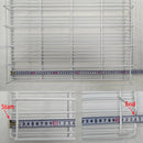 Axyaa Freezer Beverage Slide Rack | Automatic Glide Refrigerated Shelf for Convenience Stores