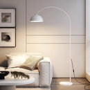 Axyaa Elegant Metal Floor Lamp - Modern Home Decor Lighting