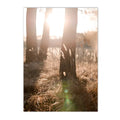Sunset Grass Reed Art Print Landscape Canvas Wall Art Nordic Posters Axyaa