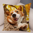Corgi Pembroke Dog Pattern Pillowcase by Axyaa - Decorative Print for Home Shopping
