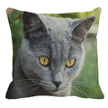 Axyaa British Shorthair Cat Pillow Cover 45X45cm Square Cushion