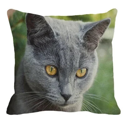 Axyaa British Shorthair Cat Pillow Cover 45X45cm Square Cushion