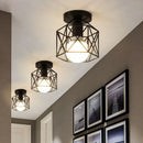 Axyaa Black Metal Cage Chandelier Ceiling Light Fixture