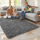 Axyaa Soft Shaggy Area Rug for Living Room and Bedroom Floor Decor