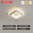 Axyaa LED Aisle Ceiling Light for Home Decor, Acrylic Cloakroom Balcony Foyer Luminaire
