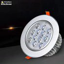 Axyaa Nordic LED Ceiling Light Fixture for Home Interior Decoration